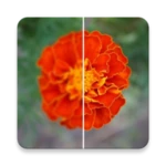 video quality enhancer-editor android application logo